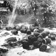 Image for article titled Photos: The rise and fall of prohibition in the US